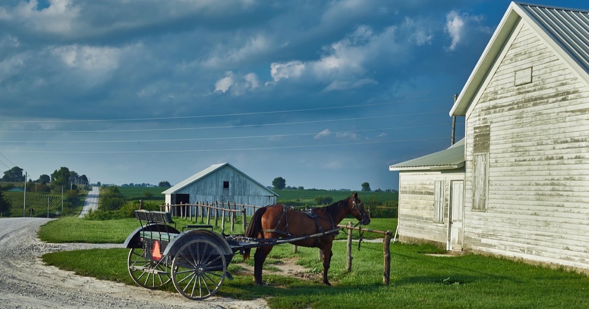 Amish horse and buggy in Lancaster-style countryside
