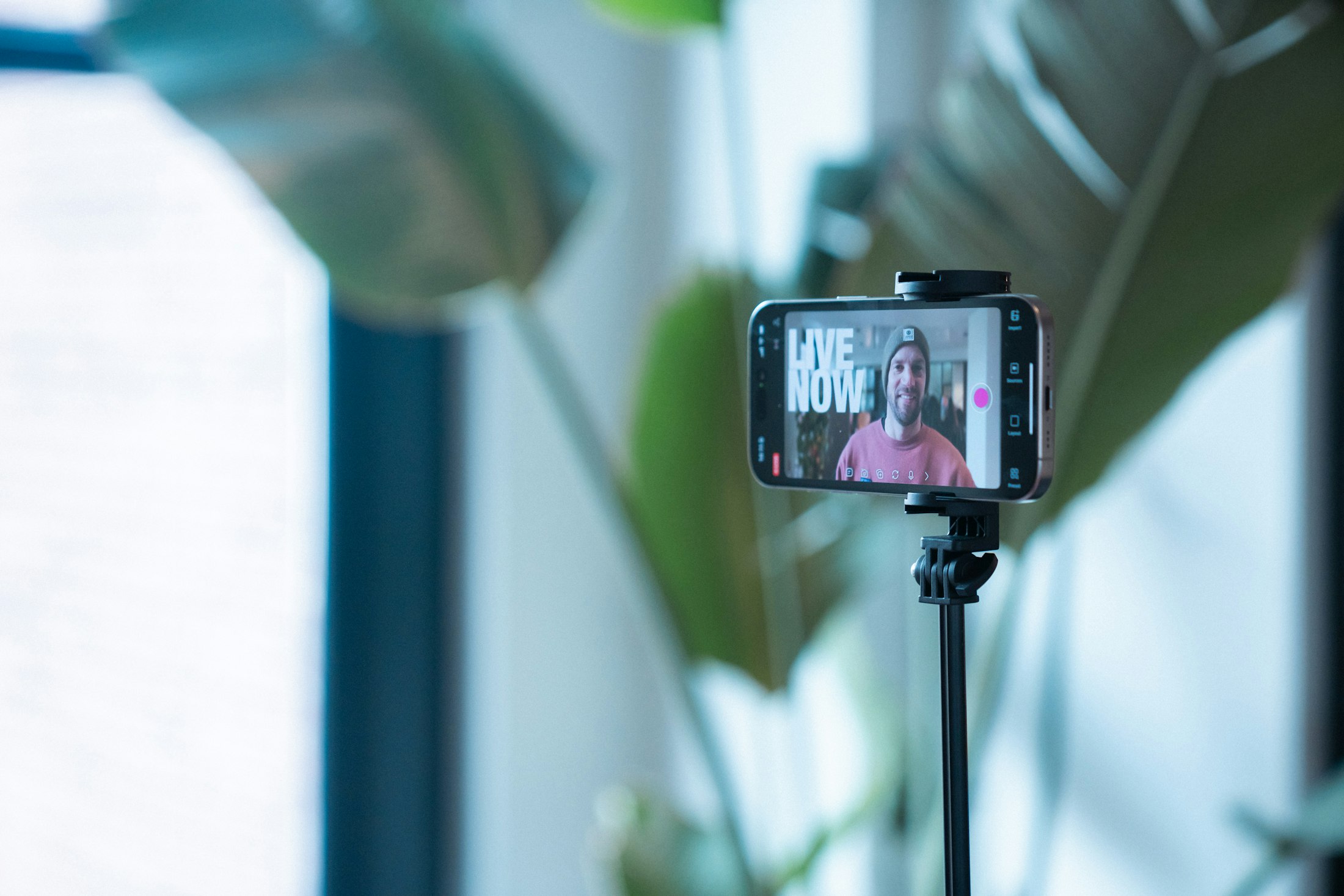 Creator streaming live with colorful lights and camera setup