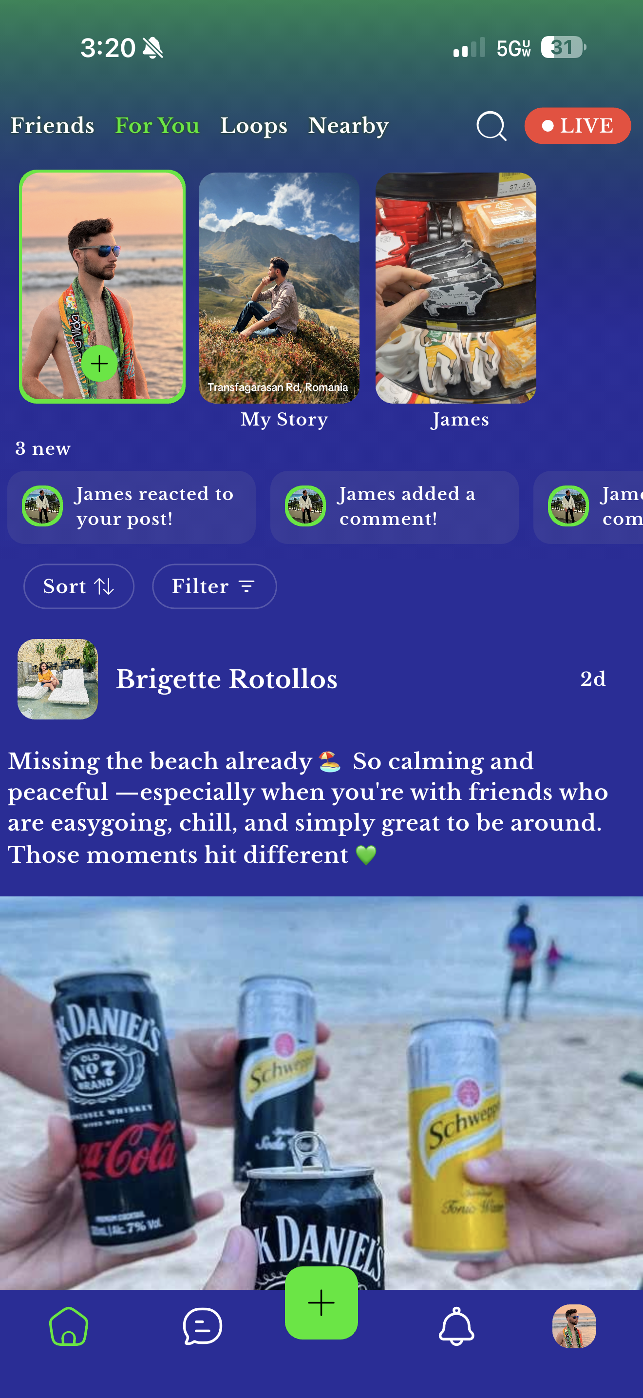 WeLoop premium theme preview